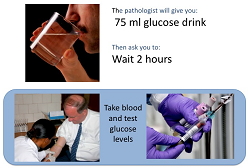 glucosio